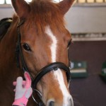 Detaljbild C